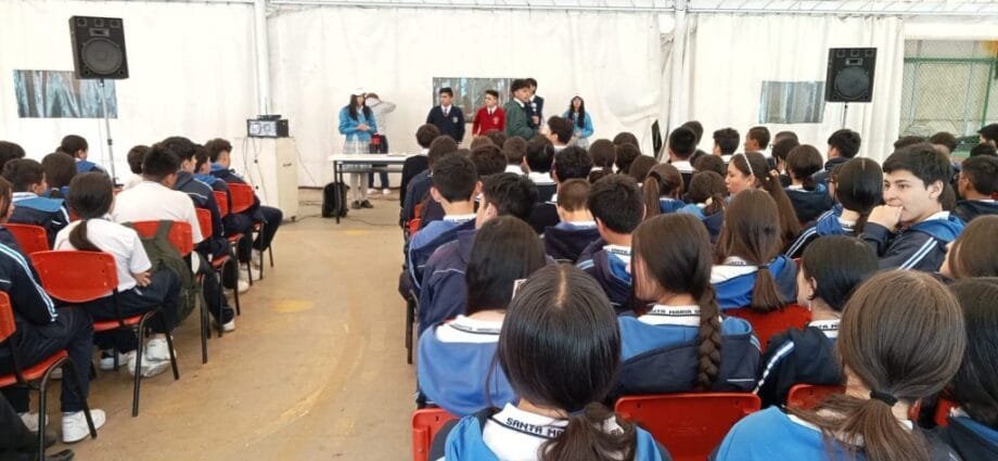 gobierno estudiantil chia
