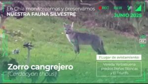 Premio Ambiental CAR 2025