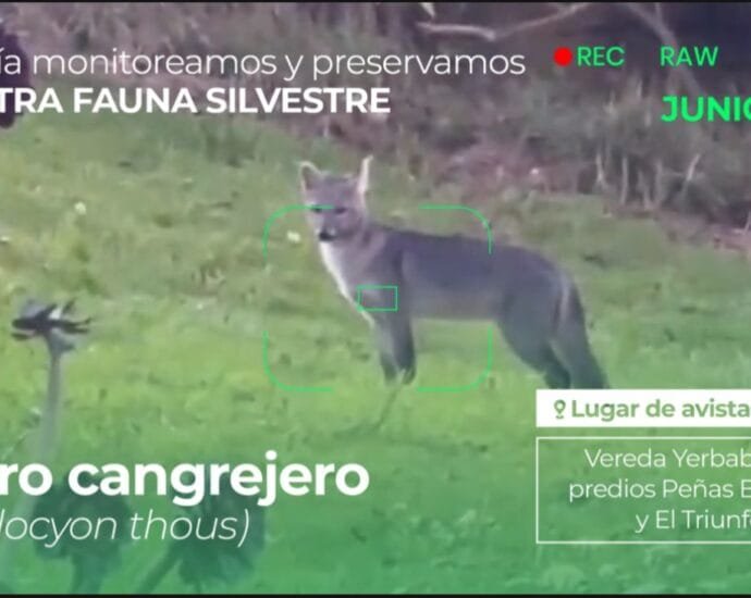 Premio Ambiental CAR 2025