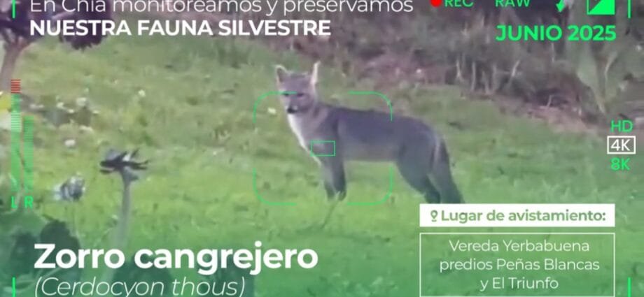 Premio Ambiental CAR 2025